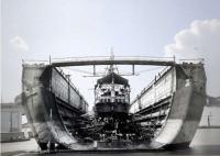 Bermuda’s bugs, beetles and the floating dock