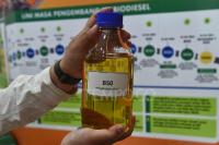 Indonesia Pushes Biofuel Expansion, Energy Reserves to Cut Import Dependence