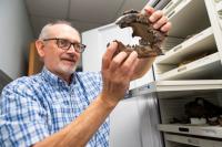 The Academy of Natural Sciences museum is closing, but all eyes are on its specimens — all 19 million of them