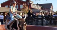Ontario tourist town known for Canada’s largest year-round farmers market is hosting a Harvest Hoedown