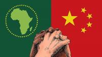 ​Sino-Africa Relations: Zheng He’s Giraffe and Africa’s Fish
