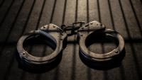 Indian-origin woman arrested for killing 2 Malayali friends in U.S.