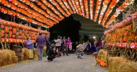 Family Halloween activities in Ontario: Pumpkins After Dark opens 3 locations