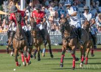 Pro-Am polo returns to Glen Farm this afternoon with a Barbados trip on the line