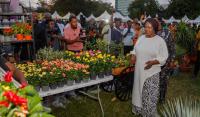 Ghana must turn horticulture into global export powerhouse – Vice President Naana Jane
