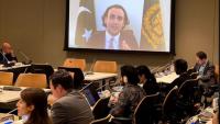 Pakistan urges global rules for digital assets at UN briefing