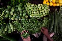 Local to larger: Scaling workshops for farm and food businesses