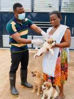 Asene-Manso-Akroso intensifies vet services