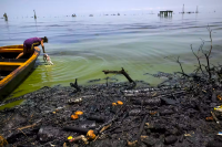 The Environmental Blind Spot of Venezuela’s Oil Deal Controversy