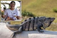 Mexican lawmaker facing backlash for eating traditional iguana soup — species protected under country’s environmental regulations