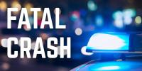 Two children killed, four injured in New Madrid County rollover crash