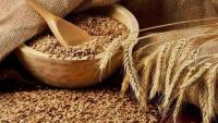 Jordan Tenders for 100,000 Tons of Barley