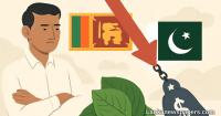 Sri Lanka's Betel Leaf Exports Hit Hard as Pakistan Imposes Heavy Tariffs