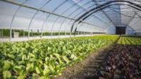 Modern farming, tunnel technology vital to protect agriculture from climate change