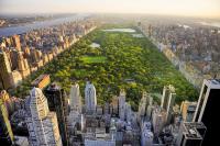 An Urban Lung Under Pressure: Central Park Adapts to Climate Change While Helping Keep New York Cool