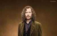Gary Oldman Says HBO’s Harry Potter Series Could Be More Satisfying Than Movies by Restoring More Book Details