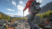 Five midlife health factors are linked to nearly 11 extra years of life