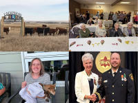 From 392 years of sisterhood to 100 years of farming, five stories making headlines