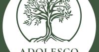 Adolesco Preparatory Academy receives Keep Louisiana Beautiful grant