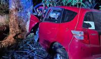 More road crashes in Tonga as car hits tree, overturns with occupant trapped inside