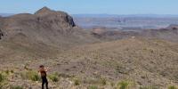 Betrayed Texans say Trump wants to give their land to Mexico: 'Greed and corruption'