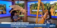 ‘Carnival of the Nearly Extinct Animals’ brings endangered species to life at Hawaii Theatre