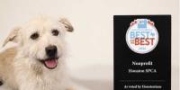 Houston SPCA named Houston’s Best of the Best nonprofit for 2026