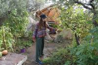 A sustainable life in the mountains: an eco-farm in San Luis aims to regenerate the native forest in community