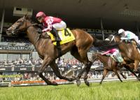 Voyager Steps Up For D.J. Stables In The ‘WAYI’ Natalma