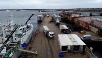 Falklands Business Representatives To Travel To Punta Arenas For Shipping Link Talks