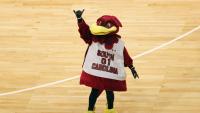 Why South Carolina football helmet features mascot Cocky for first time 