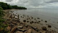 Minister Calls For Greater Public Responsibility In Protecting T&T’s Environment
