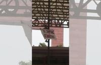 Tibet activists, journalist held for hanging protest banners near BRICS summit venue in Delhi