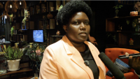 Internal auditors push for new law to govern profession