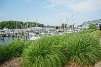 South Haven Property Lists for $2.1M With Guest House