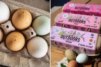 California farm issues urgent egg recall over salmonella fears