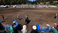 ‘Best Buck in the Bay’: Sonoma County gay rodeo touts inclusive cowboy culture