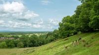 England's Pretty National Park Town With Inviting Shops And Tasty Restaurants Is Under Two Hours From London