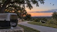 CDC Rabies Alert Puts Spotlight on 350 Texas Animal Cases