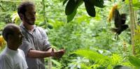 A Brazilian artist protects 80 hectares of Atlantic Forest and turns his property into a wildlife refuge