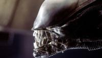7 Best Horror Movies  to Watch on Netflix in September