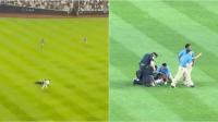 New York Yankees Fans Aim 3-Word Chant At Palestine Protestor on 9/11 Anniversary