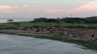 Infant among 10 Bangladeshis rescued by BSF from Padma River in West Bengal