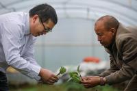 Alliance hails smart farming, rural growth
