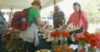 Harvest Festival celebrates farmers at Bayfront for 32nd year