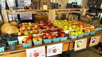 Don't wait to go apple picking this year, as crops are small this year
