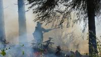 Planned burn aims to stem risk of wildfire