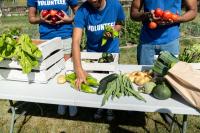 Massachusetts awards nearly $7 million to farms, fisheries, and food banks fighting hunger