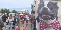 Sidewalk Arts Festival returns for 63rd year of supporting the Washington Pavilion