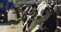 State ag department slashes loan interest rates to 0% for Utah farmers facing a tough year
